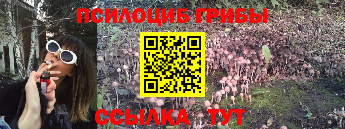 Галлюциногенные грибы Magic Shrooms Можга