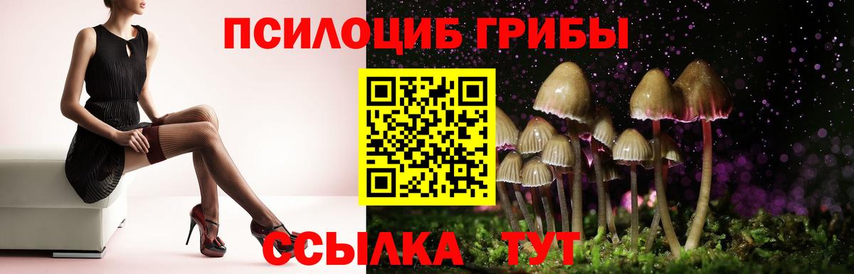 Галлюциногенные грибы Cubensis  Вход с VPN  Псилоцибиновые грибы мухоморы  Можга 